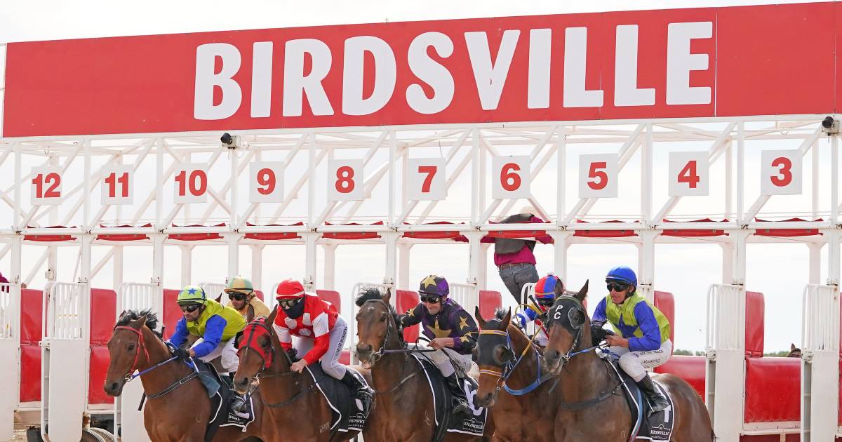 Birdsville Races plough through wet weather