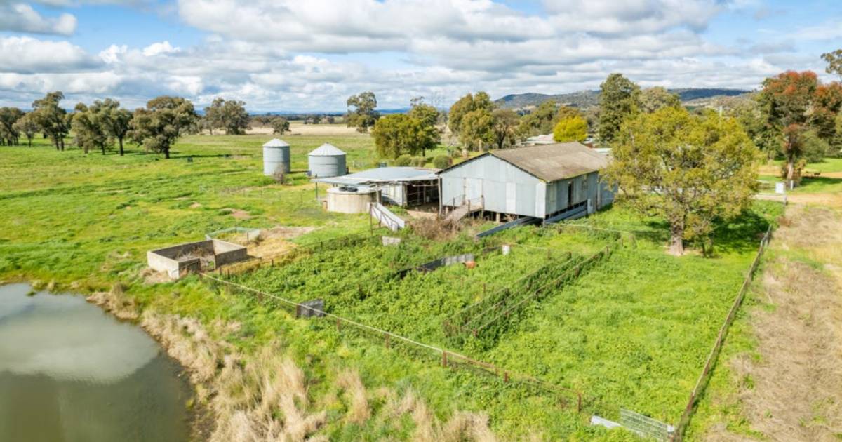 Lachlan Valley property asking $6500/acre | Video