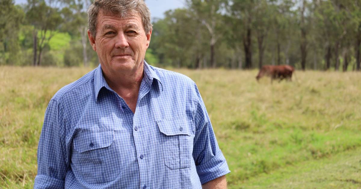 Northern beef industry still utilising insights of CashCow research project | Queensland Country Life