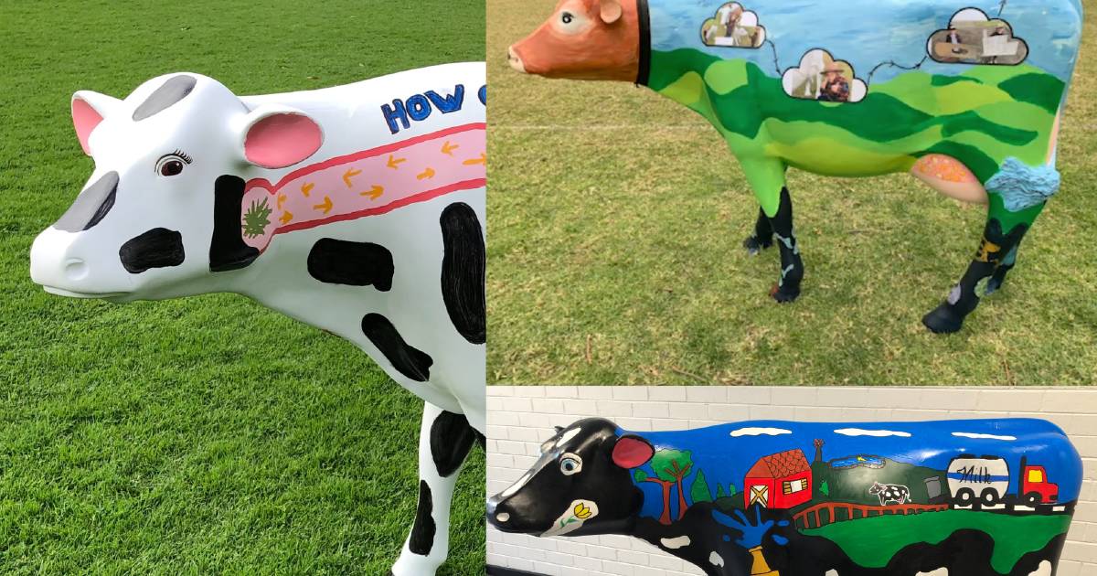 NSW students win Picasso Cow award