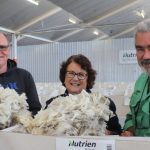 East Loddon Merinos cleared 111 rams at strong sale| Photos