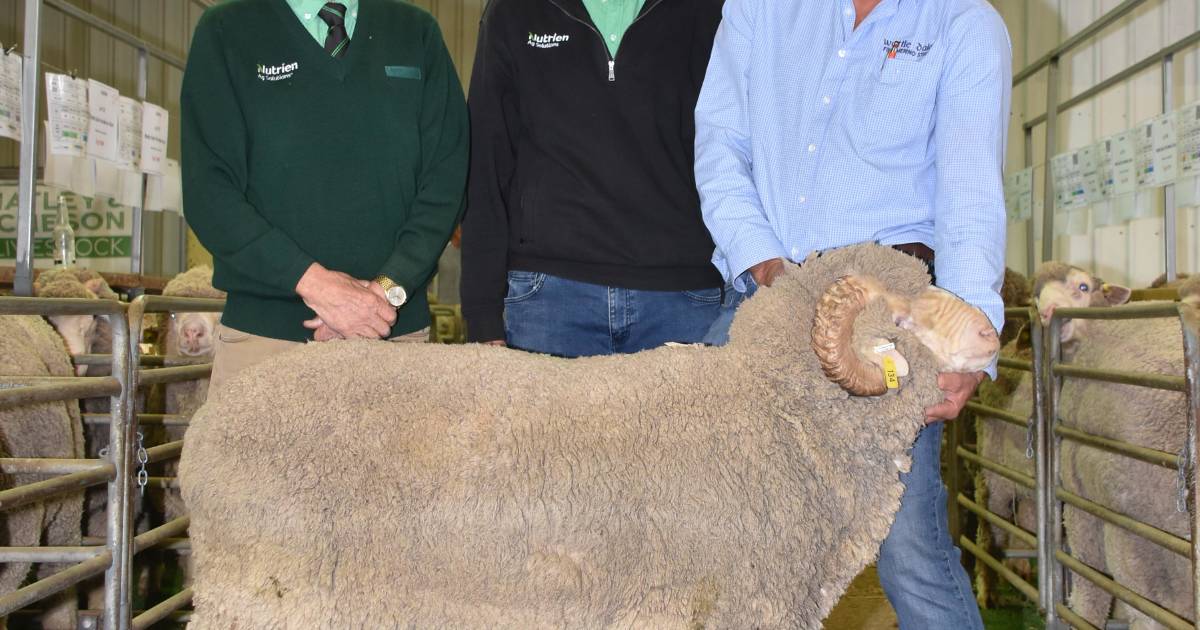 $5000 Wattle Dale Merino tops Esperance sale | Farm Weekly