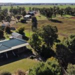 New Queensland record set by Casa Tora Simmental Stud