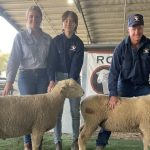 Aussie team runs close second in 2022 World Butcher’s Challenge + PICTURES