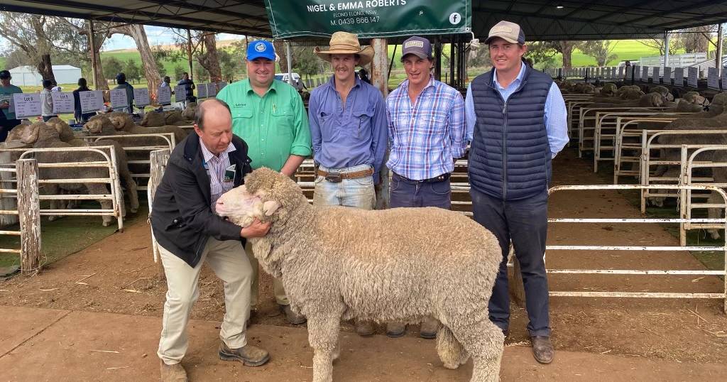 Buyers chase size, wool at Dunbogan