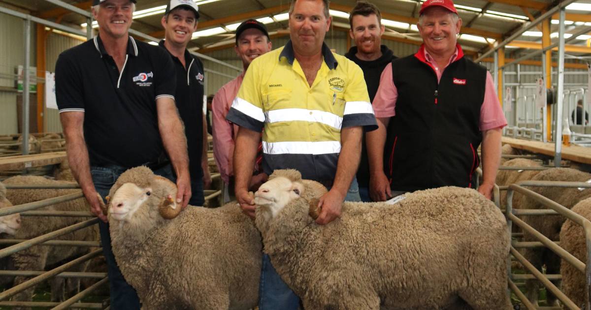 Top up by $300 to $3600 at Kolindale sale, Esperance | Farm Weekly