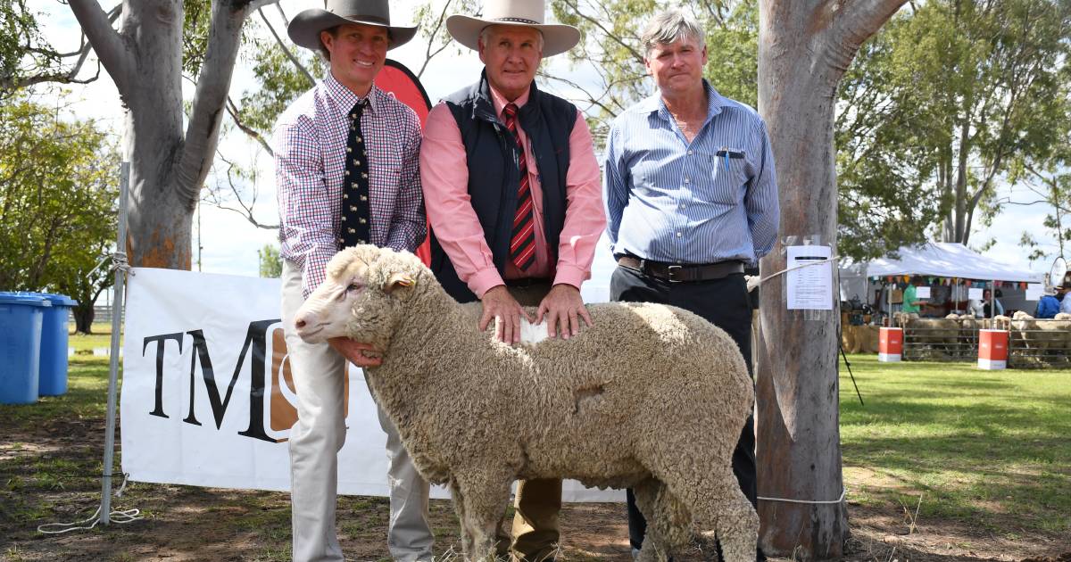 Terrick Merinos kick off new era with cracking ram sale result