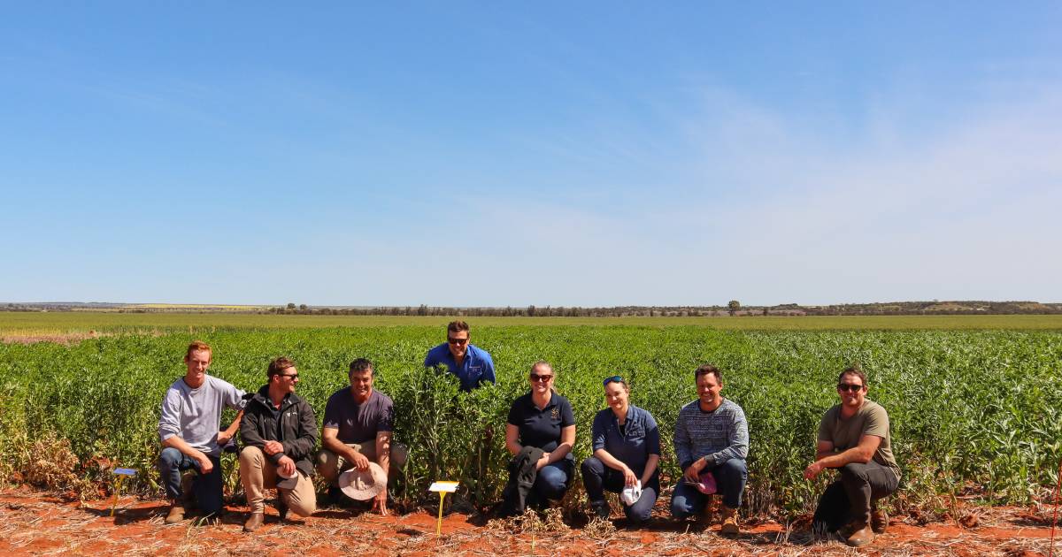 Grower group heads out yonder to Yuna