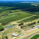 CSG company fined for releasing 800,000L of contaminated water on Western Downs