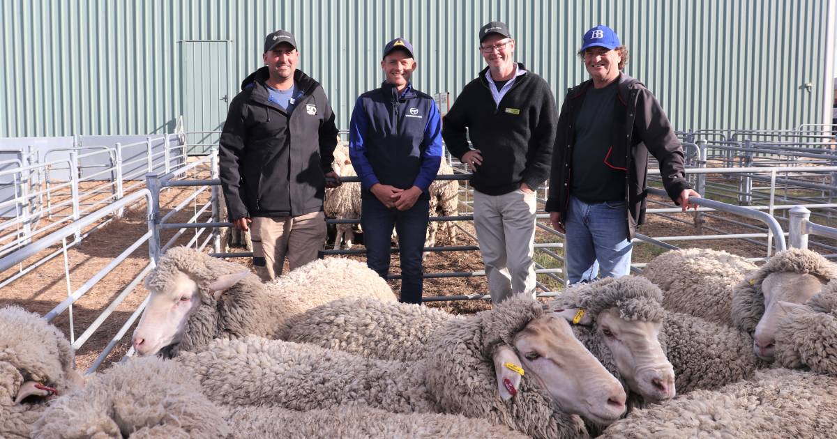 Sinclairs win Newdegate ewe hogget competition | Farm Weekly