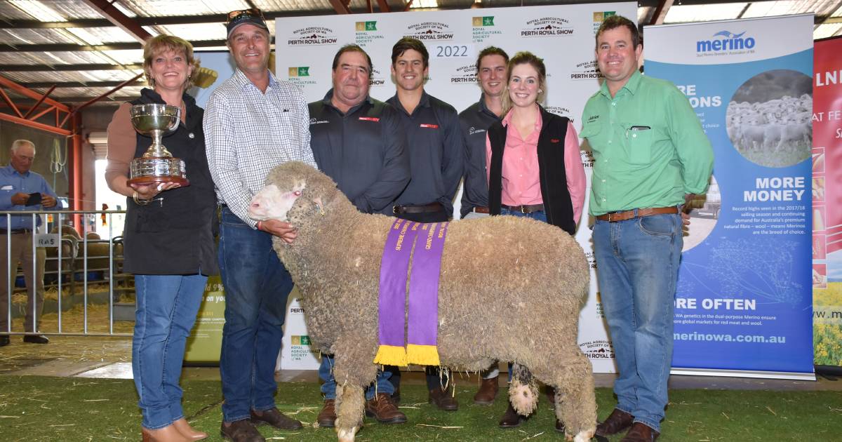 Belka Valley takes supreme Merino win | Farm Weekly