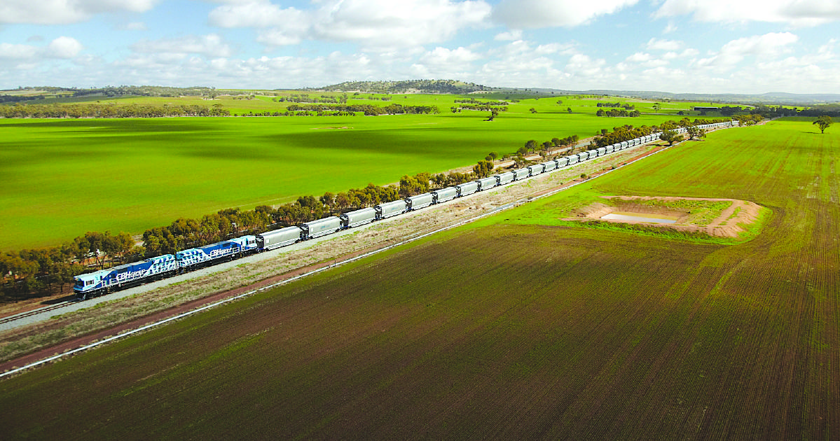 Industry demands grain supply chain update | Farm Weekly