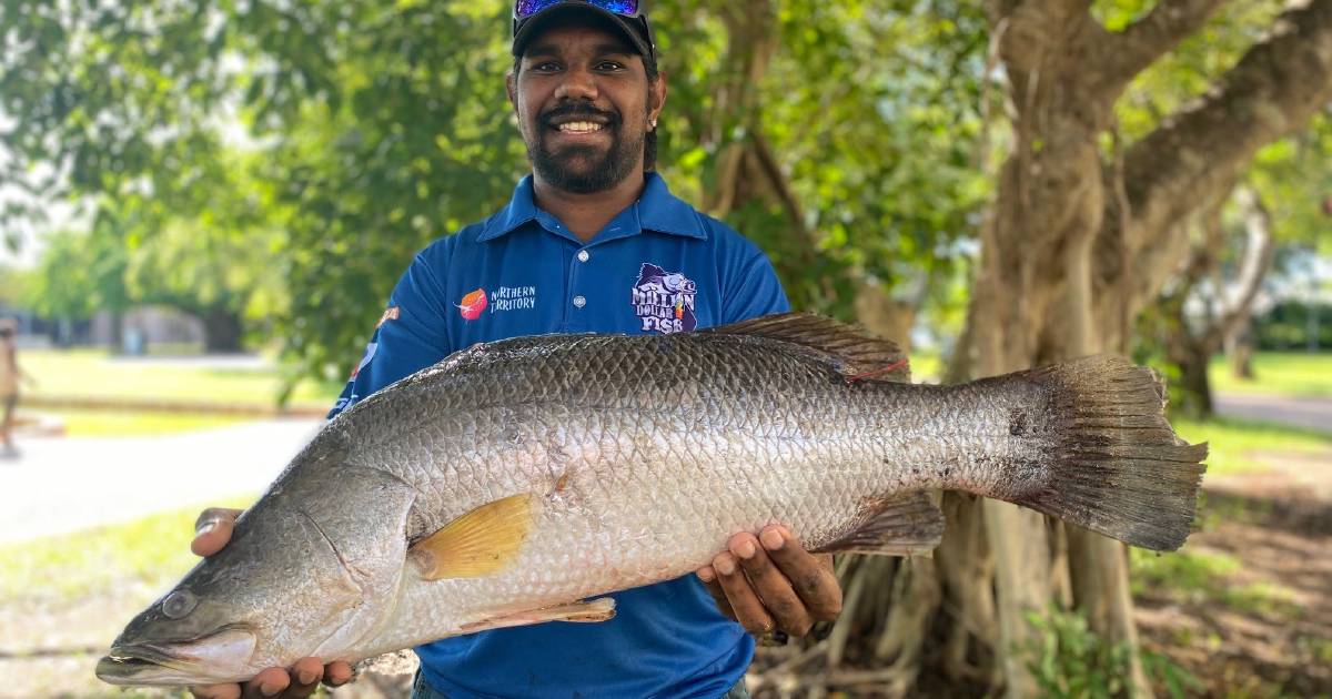 Fishos keen to reel in winning catch in Million Dollar Barra Competition | North Queensland Register