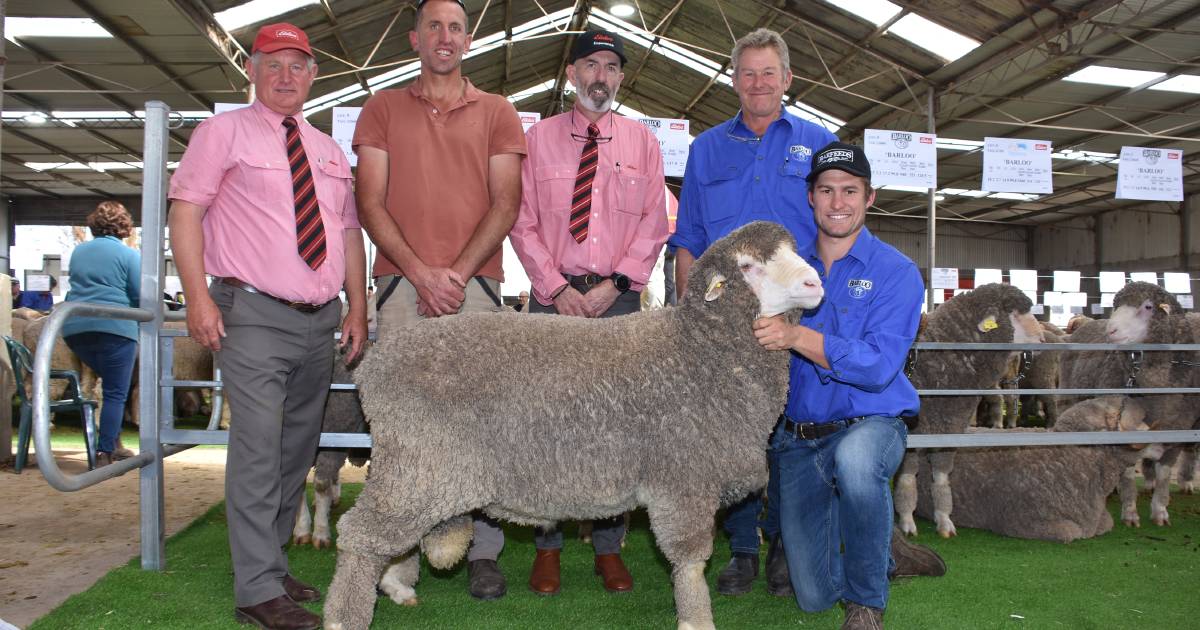 Barloo/Willemenup sale tops at $8750 | Farm Weekly