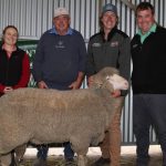 Pathfinder Angus sale well supported by western Queensland buyers | Queensland Country Life