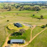 Growth, muscle and fat in demand at New Armatree