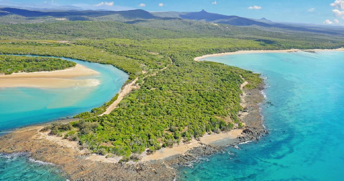 Stunning beachfront cattle property makes $4 million at auction | Video