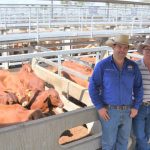 Birdsville recognised in latest Josh Arnold song