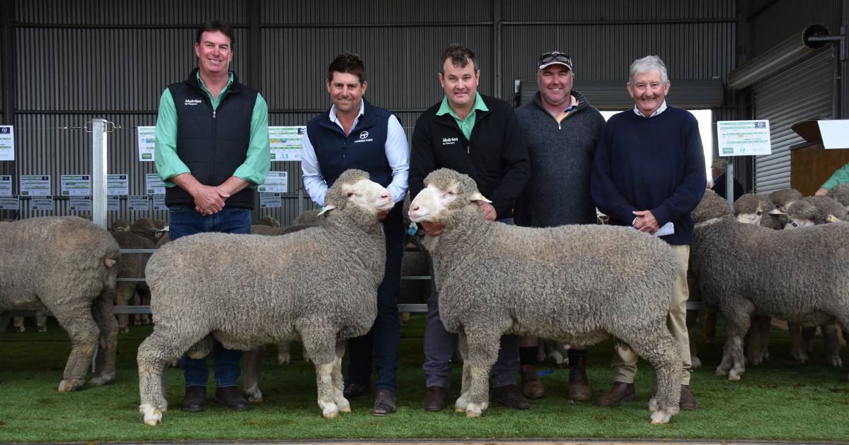 Wiringa Park Poll Merino tops $7600 three times | Farm Weekly