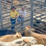 Emerald Farms sold at auction | Video