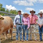 Mostyndale top Central Reds sale for the second year in a row