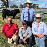 Kerin Poll's sale gross of $2.137 million a record for Merino industry