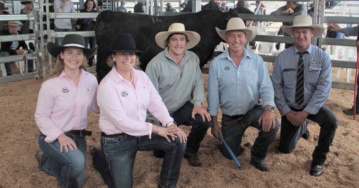 Stars align for Broadwater Angus stud's first bull sale