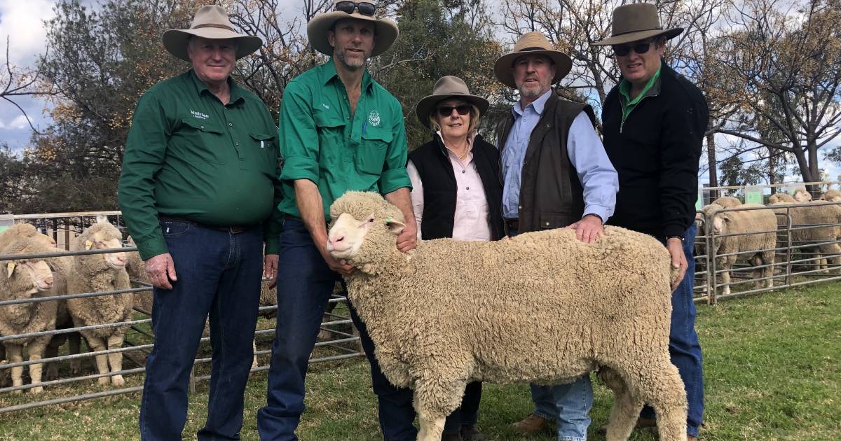 Ballatherie Merinos clear all 319 rams | The Land