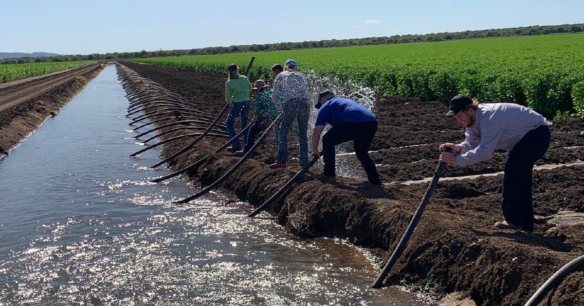 Ag students get a taste for North West