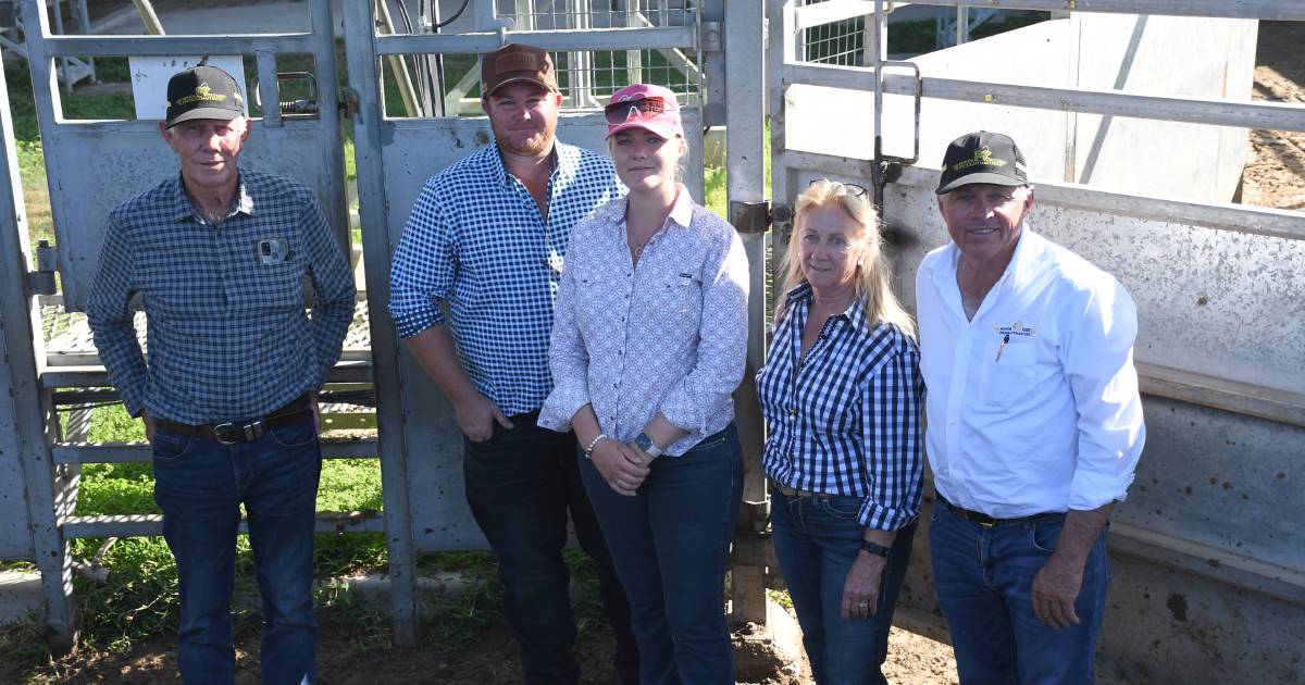 Munda Reds secure quality Droughtmaster genetics from Queensland vendors | Queensland Country Life