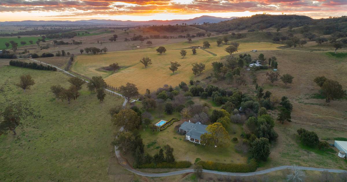 Energised wind farm, grazing country on the market | Video