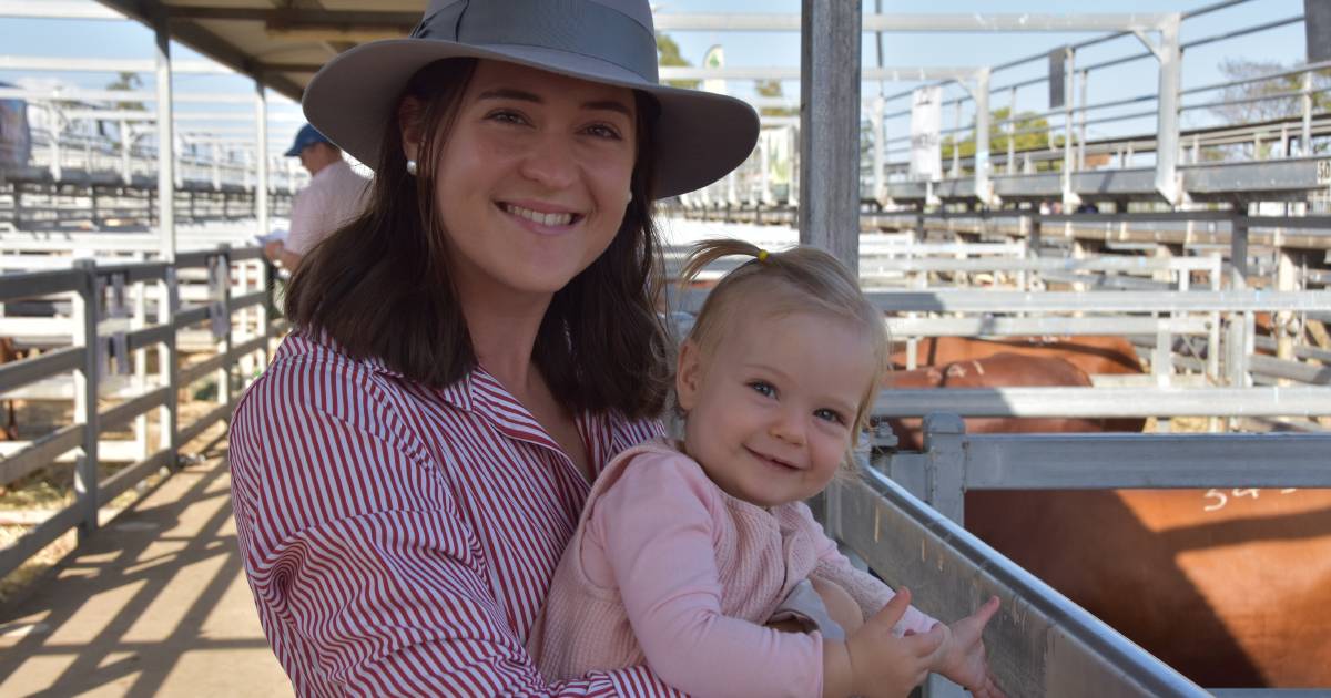 Faces from day two of the DM National Bull Sale