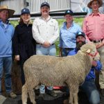 Mostyndale top Central Reds sale for the second year in a row