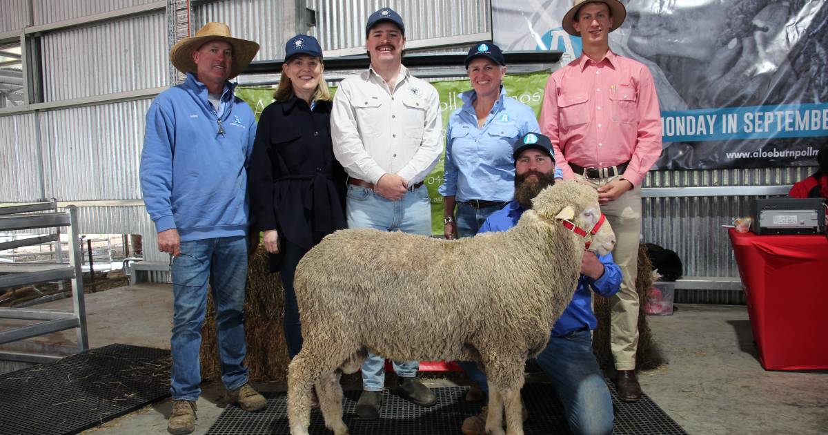 Aloeburn chuffed with Poll Merino ram sale results