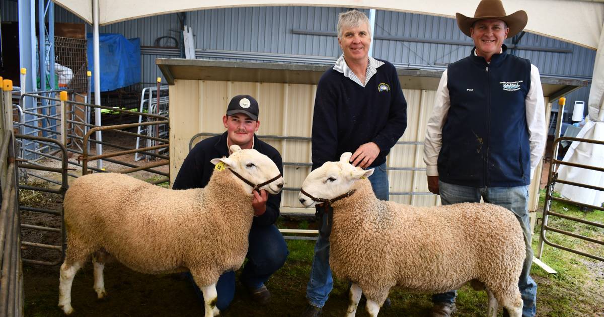 Tenalba rams top at $7000 in last ever sale