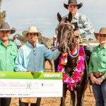 Sire Shootout winner sells at National Braford Sale