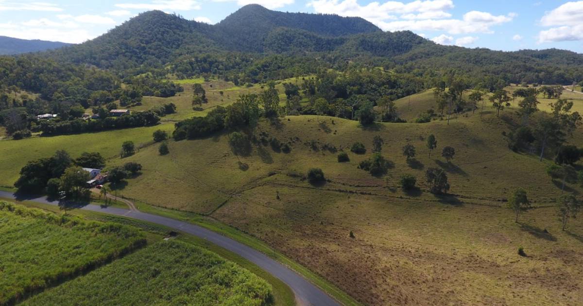 Mount Martin country off to auction