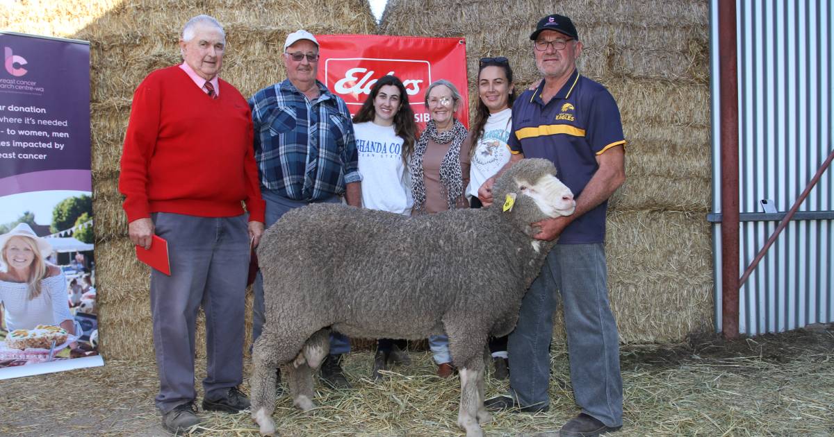 $8200 Poll Merino tops Cardiff sale at Yorkrakine | Farm Weekly