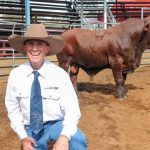 Talana Limousins bull sale hits $17,000 top at Emerald