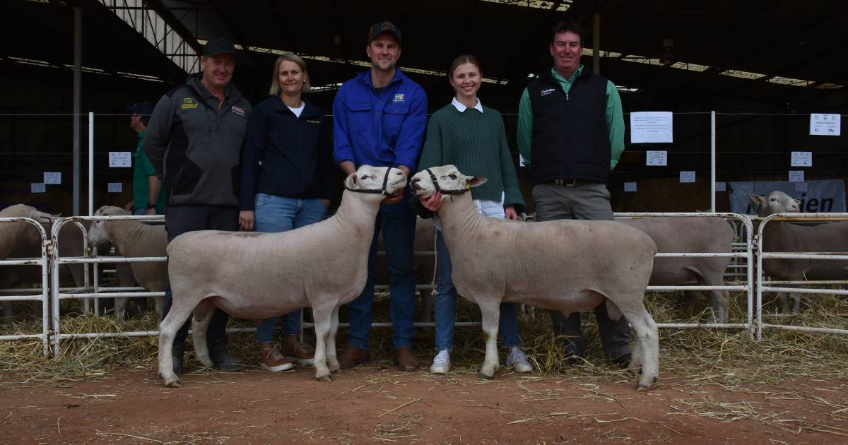 Impressive clearance in Gnowangerup sale