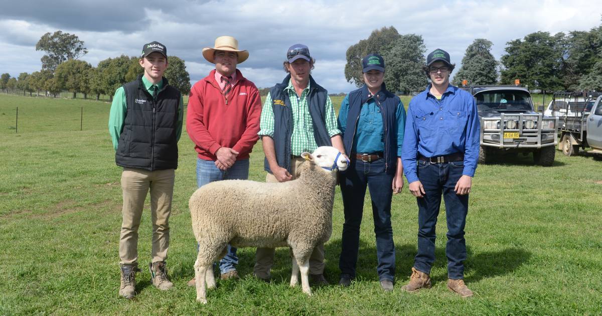 Strong push from local and repeat buyers at the 18th Annual Normanhurst Border Leicester sale