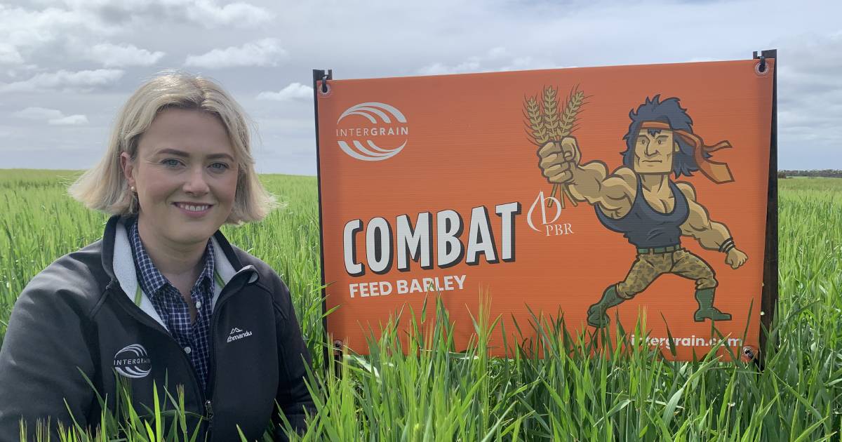 Combat wins feed barley battle