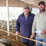 Wool from farm to you | The Land