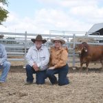 Aloeburn chuffed with Poll Merino ram sale results