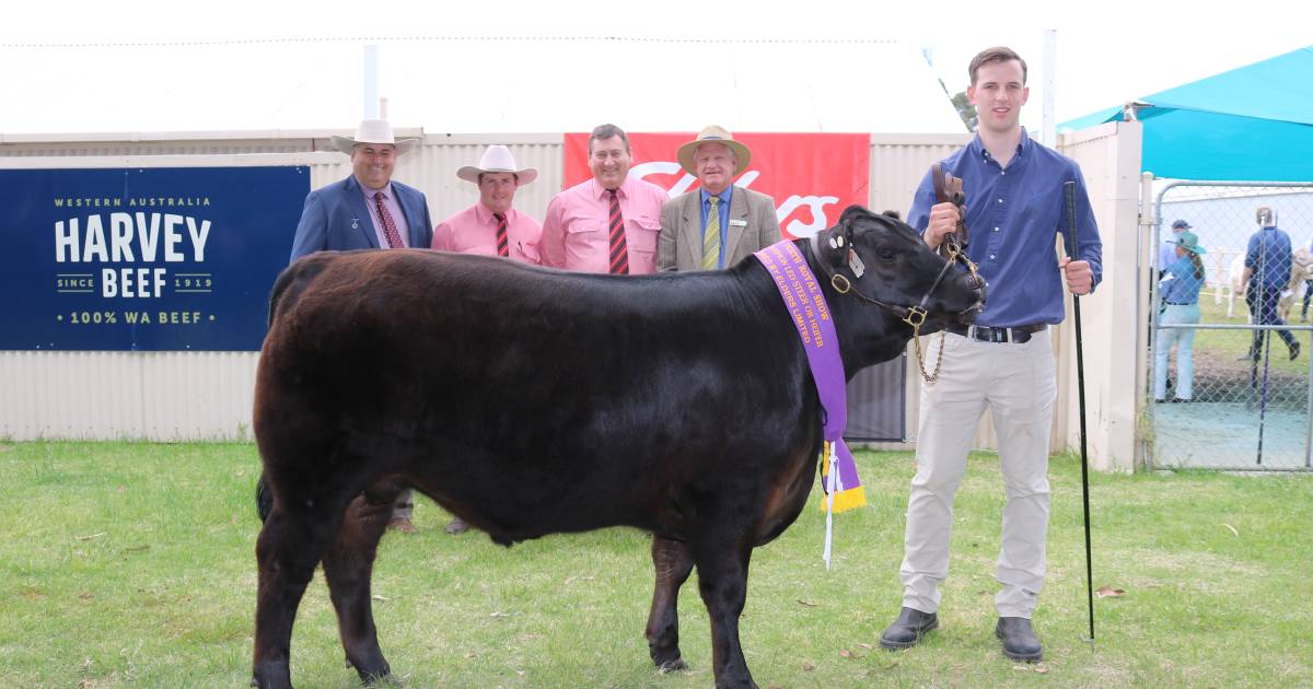 Murdoch University win at 2022 Perth Royal Show | Farm Weekly