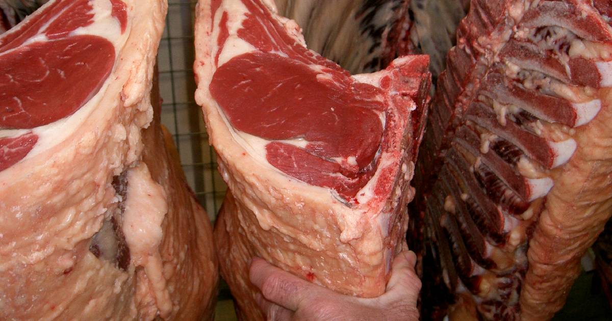 Processor reopens abattoirs