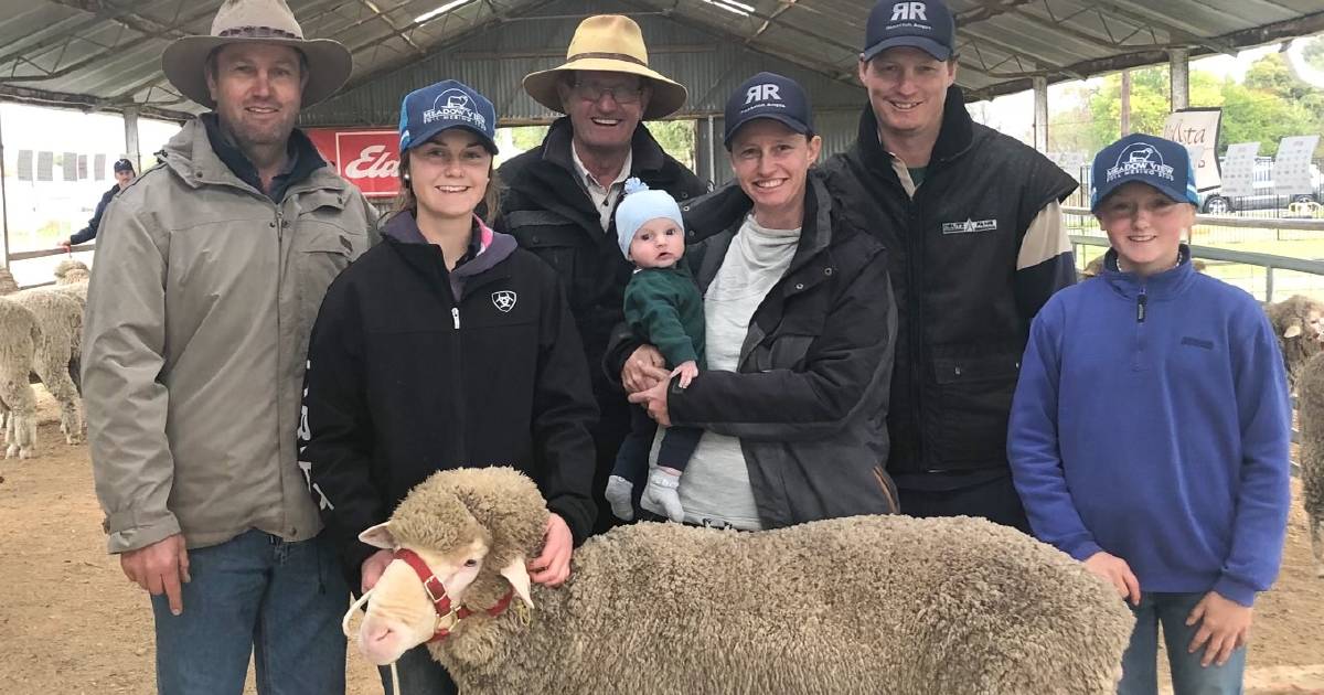 Eastern Riverina multi-vendor Poll Merino ram sale's $2865 ave