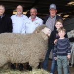 Ascot bull and female sale reaches record heights | Queensland Country Life