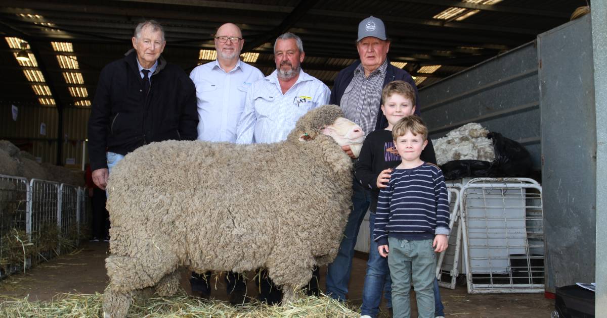 Annual Lewisdale sale tops at $18,000 | Farm Weekly