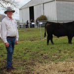 Weebollabolla sets new on-property record at 55th annual bull sale | The Land